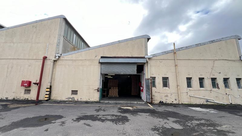 To Let commercial Property for Rent in Epping Industrial Western Cape